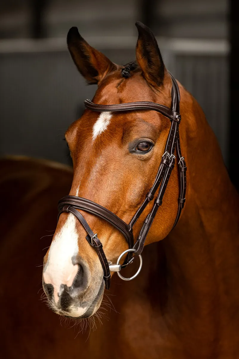 LeMieux Arika Flash Bridle in Brown and Silver